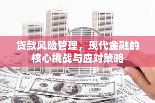 新乡贷款风险管理，现代金融的核心挑战与应对策略