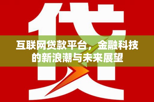 新乡互联网贷款平台，金融科技的新浪潮与未来展望