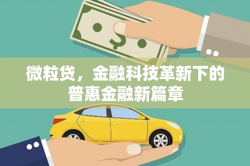新乡微粒贷，金融科技革新下的普惠金融新篇章