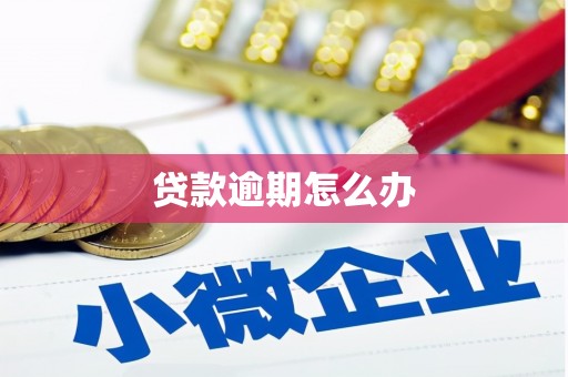 新乡贷款逾期怎么办