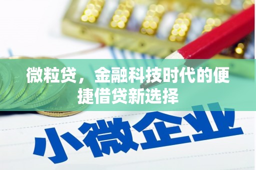 新乡微粒贷，金融科技时代的便捷借贷新选择