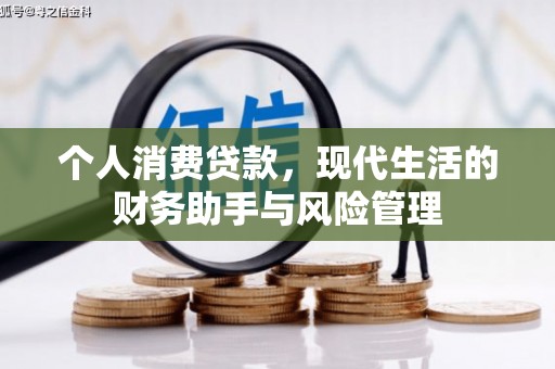 新乡个人消费贷款，现代生活的财务助手与风险管理