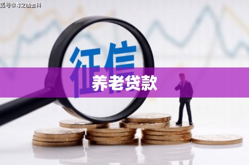 新乡养老贷款