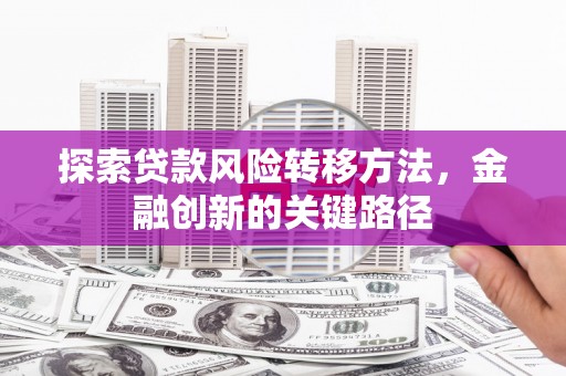 新乡探索贷款风险转移方法，金融创新的关键路径