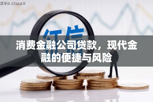 新乡消费金融公司贷款，现代金融的便捷与风险