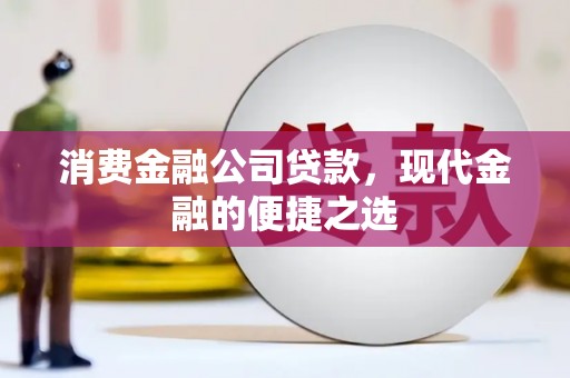 新乡消费金融公司贷款，现代金融的便捷之选