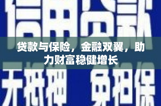 新乡贷款与保险，金融双翼，助力财富稳健增长