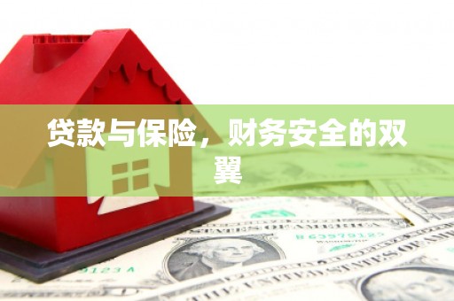 新乡贷款与保险，财务安全的双翼