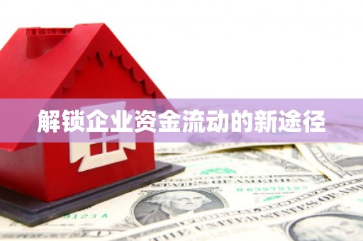 新乡解锁企业资金流动的新途径