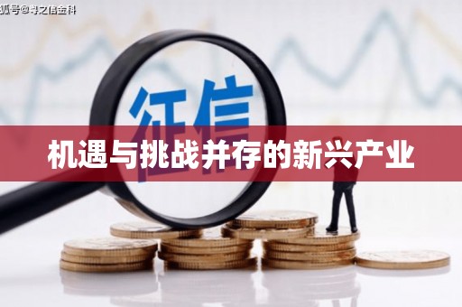 新乡机遇与挑战并存的新兴产业