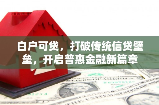 新乡白户可贷，打破传统信贷壁垒，开启普惠金融新篇章
