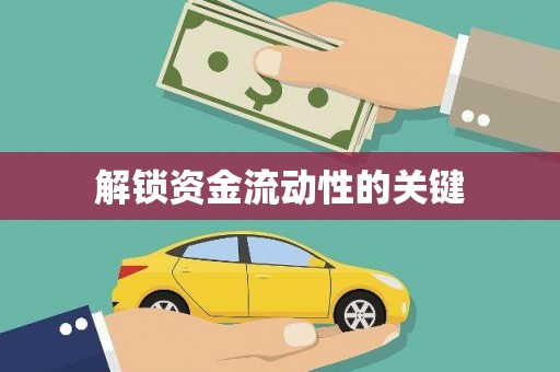 新乡解锁资金流动性的关键