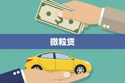 新乡微粒贷