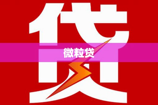 新乡微粒贷