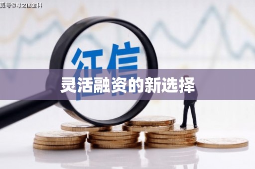 新乡灵活融资的新选择