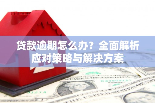 新乡贷款逾期怎么办？全面解析应对策略与解决方案