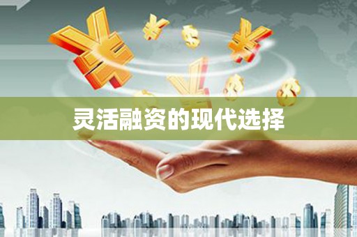 新乡灵活融资的现代选择
