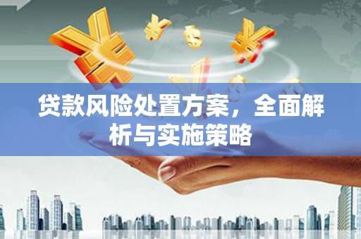 新乡贷款风险处置方案，全面解析与实施策略