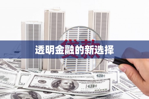 新乡透明金融的新选择