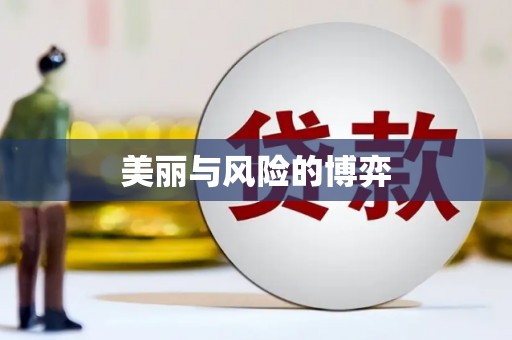 新乡美丽与风险的博弈