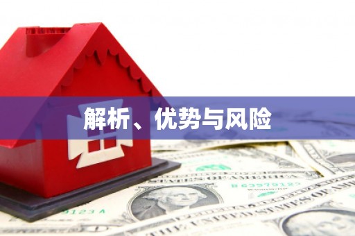 新乡解析、优势与风险
