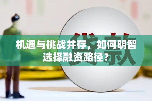 新乡机遇与挑战并存，如何明智选择融资路径？