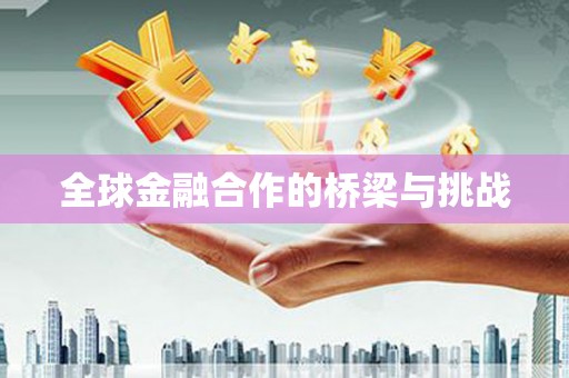 新乡全球金融合作的桥梁与挑战