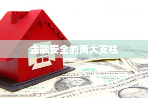 新乡金融安全的两大支柱