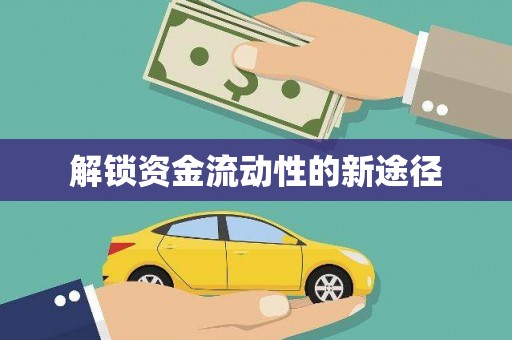 新乡解锁资金流动性的新途径