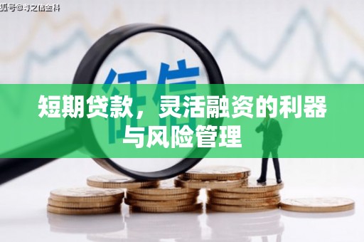 新乡短期贷款，灵活融资的利器与风险管理