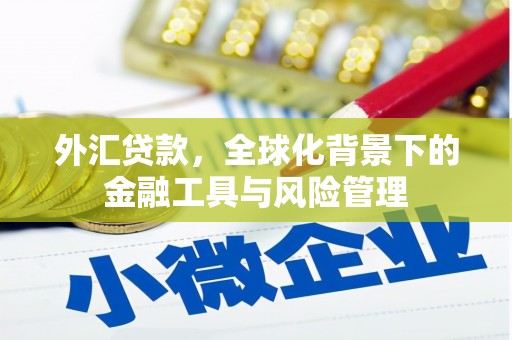 新乡外汇贷款，全球化背景下的金融工具与风险管理