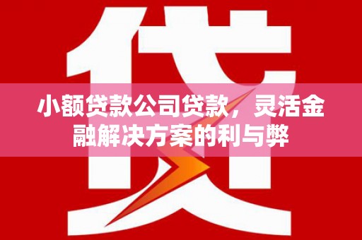 新乡小额贷款公司贷款，灵活金融解决方案的利与弊