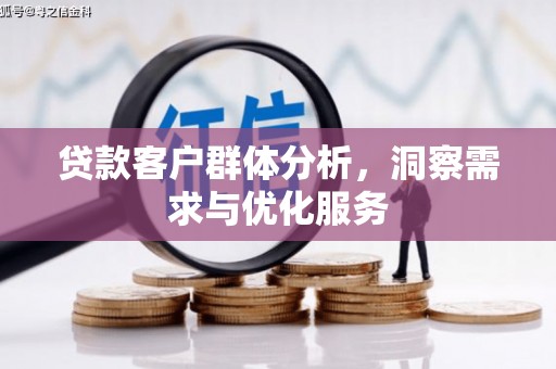 新乡贷款客户群体分析，洞察需求与优化服务